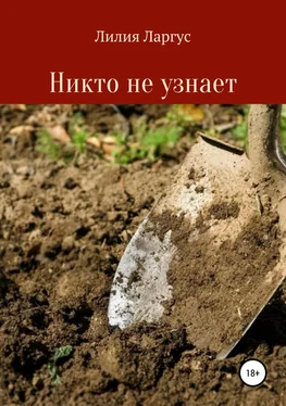 Лилия Ларгус Никто не узнает обложка книги