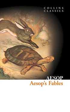 Aesop Aesop Aesop’s Fables обложка книги