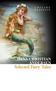 Hans Andersen Selected Fairy Tales обложка книги