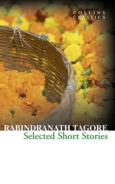 Rabindranath Tagore Selected Short Stories обложка книги