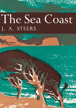 J. Steers The Sea Coast обложка книги
