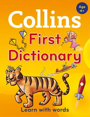 Collins Dictionaries Collins First Dictionary обложка книги