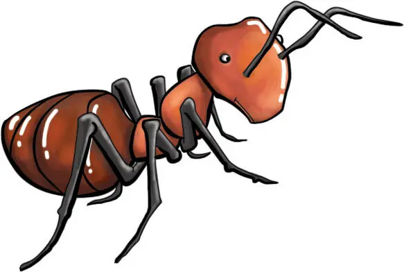 antelope noun antelopes An antelope is an animal that looks like a deer any 1 - фото 14
