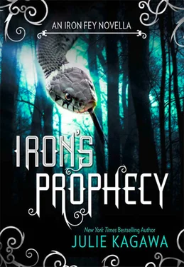 Julie Kagawa Iron's Prophecy обложка книги