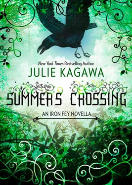 Julie Kagawa Summer's Crossing обложка книги
