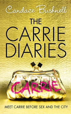 Candace Bushnell The Carrie Diaries обложка книги