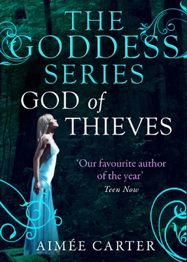 Aimee Carter God of Thieves обложка книги
