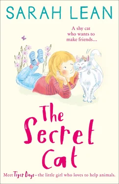 Sarah Lean The Secret Cat обложка книги