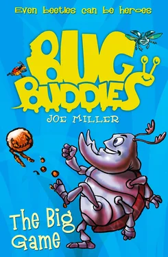 Joe Miller The Big Game обложка книги