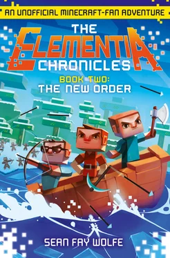 Sean Wolfe The New Order обложка книги