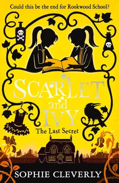 Sophie Cleverly The Last Secret обложка книги