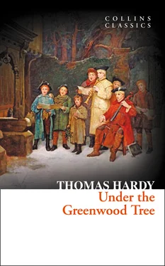 Thomas Hardy Under the Greenwood Tree обложка книги