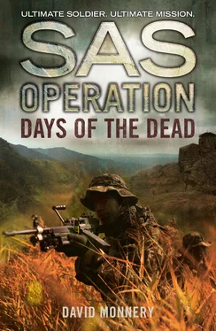 David Monnery Days of the Dead обложка книги