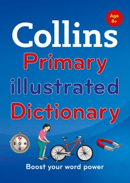 Collins Dictionaries Collins Primary Illustrated Dictionary обложка книги