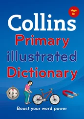 Collins Dictionaries - Collins Primary Illustrated Dictionary