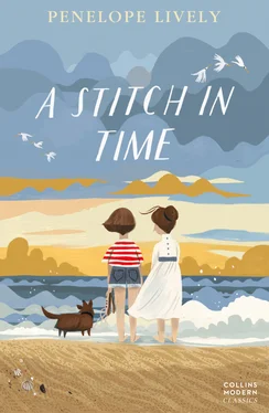 Penelope Lively A Stitch in Time обложка книги