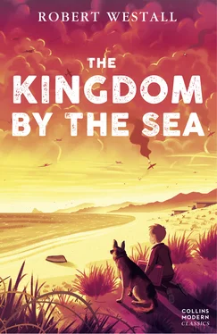 Robert Westall The Kingdom by the Sea обложка книги