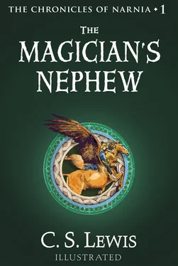 Pauline Baynes The Magician’s Nephew обложка книги