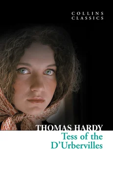 Thomas Hardy Tess of the D’Urbervilles обложка книги