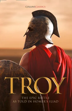 Samuel Butler Troy: The epic battle as told in Homer’s Iliad обложка книги