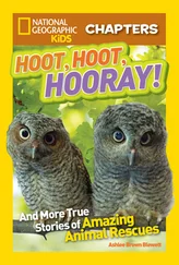 Ashlee Blewett - National Geographic Kids Chapters - Hoot, Hoot, Hooray! - And More True Stories of Amazing Animal Rescues