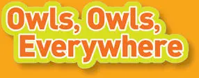 Owls live on every continent except Antarctica They come in many shapes and - фото 4