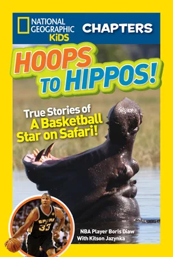 Kitson Jazynka National Geographic Kids Chapters: Hoops to Hippos!: True Stories of a Basketball Star on Safari обложка книги
