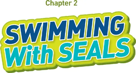 The water temperature in Canadas Gulf of St Lawrence was below freezing but - фото 5