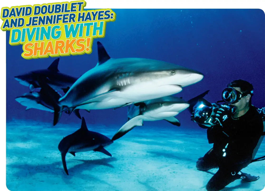Photographer David Doubilet comes facetoface with some Caribbean reef - фото 2