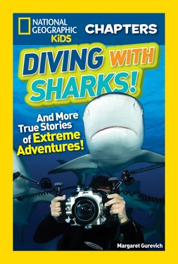 Margaret Gurevich National Geographic Kids Chapters: Diving With Sharks!: And More True Stories of Extreme Adventures! обложка книги