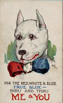 photo credits 21 In 1904 the Buster Brown company used a pit bull named - фото 5