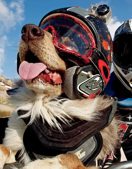 Ready to ride Opee pants with excitement His helmet has a camera on top - фото 3