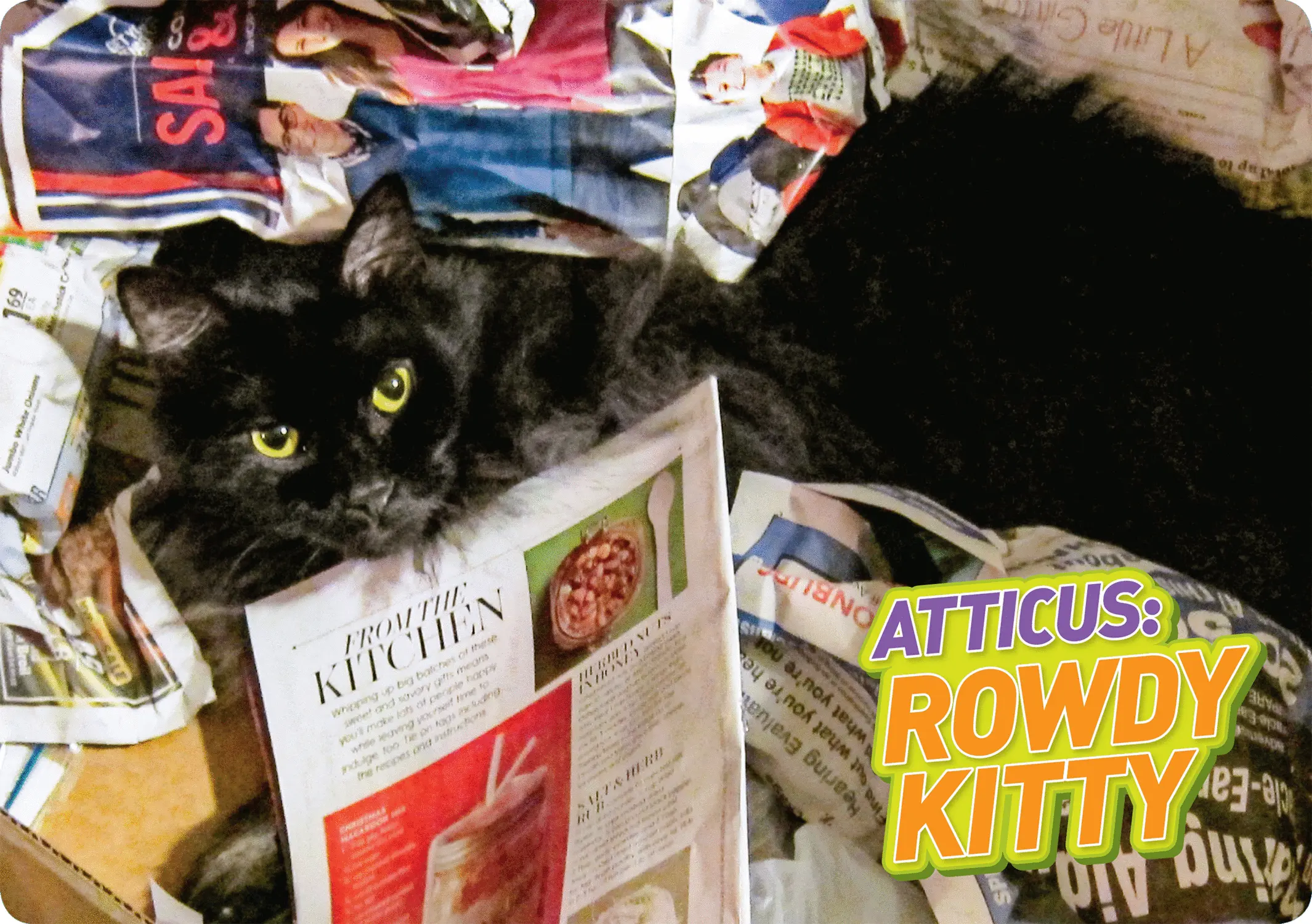 Atticus destroyser reads the morning paper Credit 1 Конец ознакомительного - фото 2
