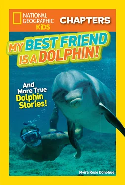Moira Donohue National Geographic Kids Chapters: My Best Friend is a Dolphin! обложка книги