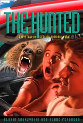 Gloria Skurzynski - Mysteries in Our National Parks - The Hunted - A Mystery in Glacier National Park