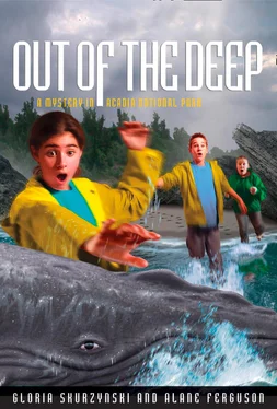 Gloria Skurzynski Mysteries in Our National Parks: Out of the Deep: A Mystery in Acadia National Park обложка книги