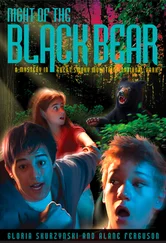 Gloria Skurzynski - Mysteries in Our National Parks - Night of the Black Bear - A Mystery in Great Smoky Mountains National Park