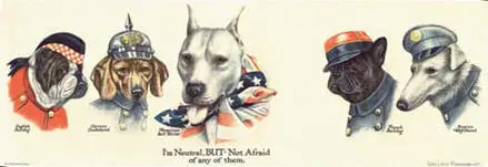 Dogs in the fight Even though the United States remained neutral after - фото 5