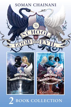 Soman Chainani The School for Good and Evil 2 book collection: The School for Good and Evil обложка книги