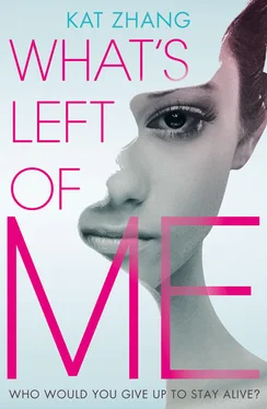 Kat Zhang What’s Left of Me обложка книги