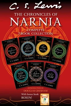 Clive Lewis The Chronicles of Narnia 7-in-1 Bundle with Bonus Book, Boxen обложка книги