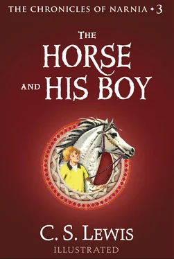 Pauline Baynes The Horse and His Boy обложка книги