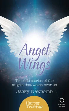 Jacky Newcomb Angel Wings: True-life stories of the Angels that watch over us обложка книги