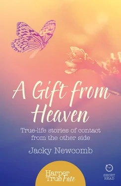 Jacky Newcomb A Gift from Heaven: True-life stories of contact from the other side обложка книги