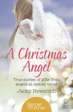 Jacky Newcomb A Christmas Angel: True Stories of Gifts from Angels at Special Times обложка книги