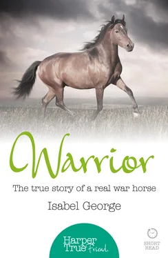 Isabel George Warrior: The true story of the real war horse обложка книги