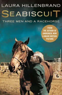 Laura Hillenbrand Seabiscuit: The True Story of Three Men and a Racehorse обложка книги