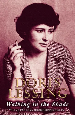 Doris Lessing Walking in the Shade: Volume Two of My Autobiography, 1949 -1962 обложка книги