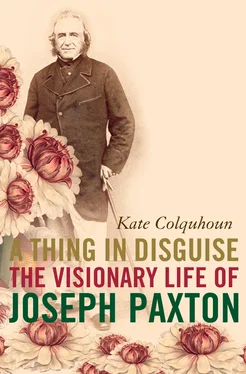 Kate Colquhoun A Thing in Disguise: The Visionary Life of Joseph Paxton обложка книги
