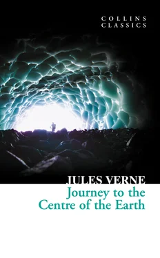 Jules Verne Journey to the Centre of the Earth обложка книги